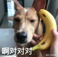 布克我将化身NBA大再成焦点(布克很帅)|BB波音馆娱乐